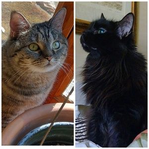 Meet your Posher, Cynthia